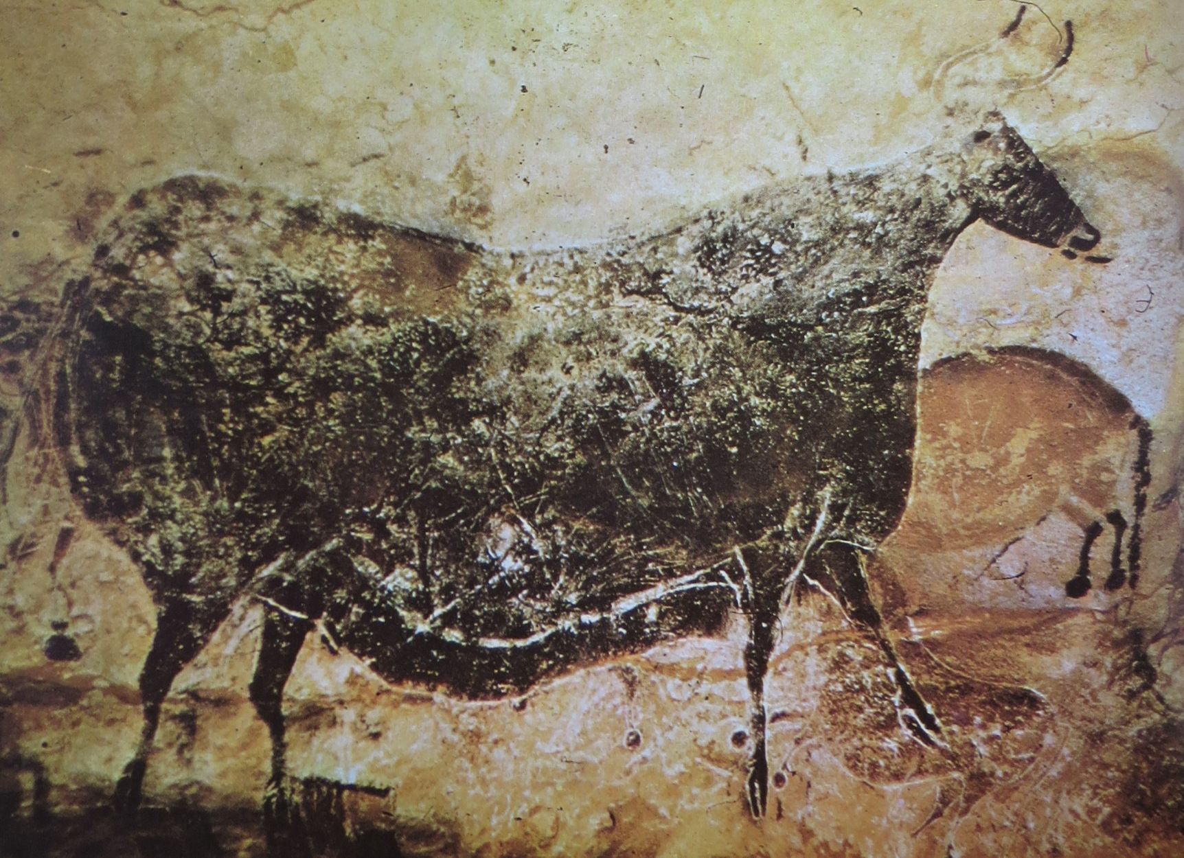 L'arte preistorica e le pitture rupestri