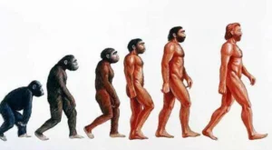 Evoluzione dell'uomo