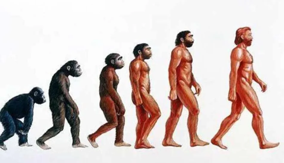 Evoluzione dell'uomo